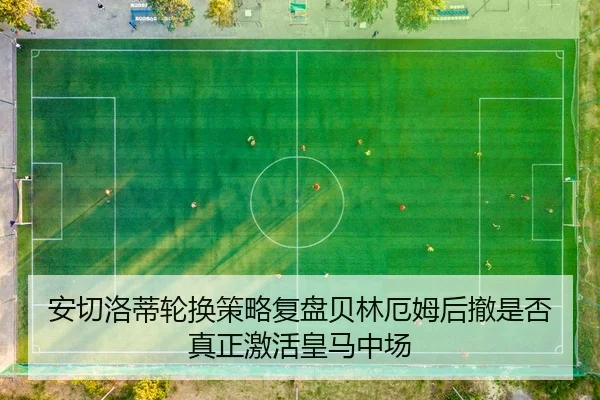 an-qie-luo-di-lun-huan-ce-lve-fu-pan-bei-lin-e-mu-hou-che-shi-fou-zhen-zheng-ji-huo-huang-ma-zhong-chang-2-722.jpg